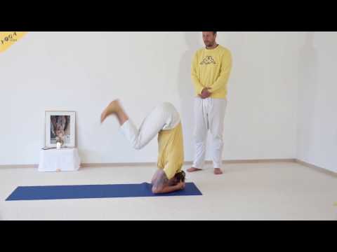 Kopfstand im Lotus - Shirshasana - 84 Hauptasanas - Teil 10