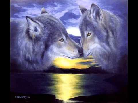 Milovan Simic Simke - Dobro jutro kazem novom danu (uzivo)