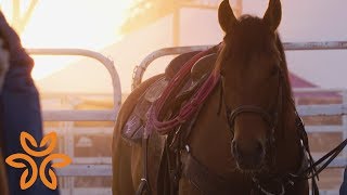 Rodeo and Red Bluff | Hello humankindness