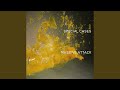 Special Cases (Radio Edit)
