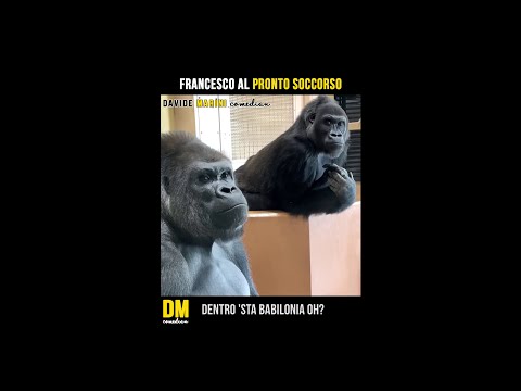 Francesco in the emergency room