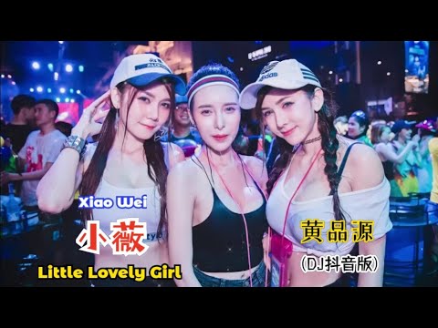 黄品源 - 小薇 (DJ抖音版) Xiao Wei【Little Lovely Girl】- Lirik Pinyin Terjemahan Indonesia ||HOT Tiktok Douyin