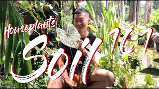 All you need to know about soil