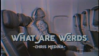 What Are Words - Chris Medina (Lyrics &amp; Vietsub)
