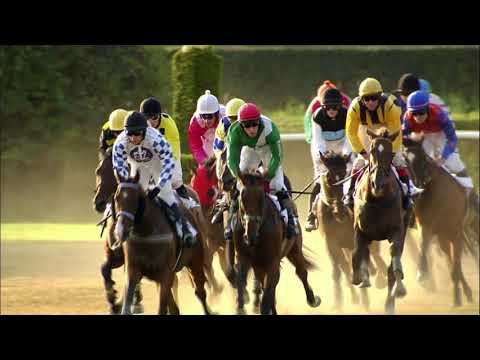 PE, 18. 8. 2018, 8. dostih - Cena Dostihového spolku a.s.