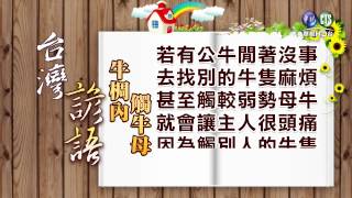 Re: [新聞] 「豬圈裡鬥豬母」台灣會倒 賴清德：12/18