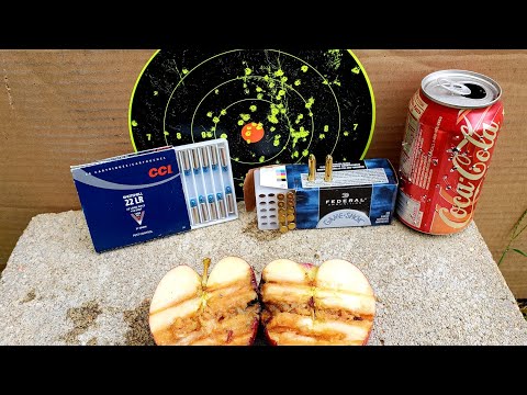 CCI 22LR Shotshell VS Federal 22LR Bird Shot #12 .22 LR Ammo Test \u0026 Review
