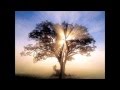 ALTA TRINITA' BEATA