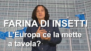 Farina di insetti, è vero che l'Europa ci obbliga a mangiarla