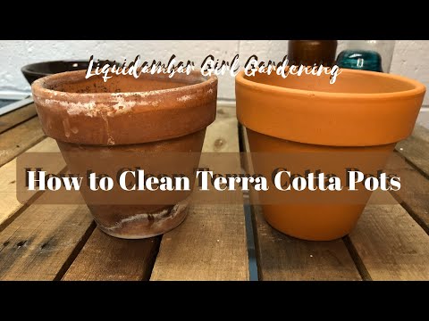 image-What's the best way to clean plant pots?