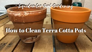 How to Clean Terra Cotta Pots l How to Remove White Stuff from Terra Cotta Planters