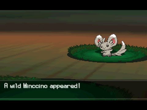 Pokemon Black and White 2 Walkthrough Part 20 - Catching Minccino!