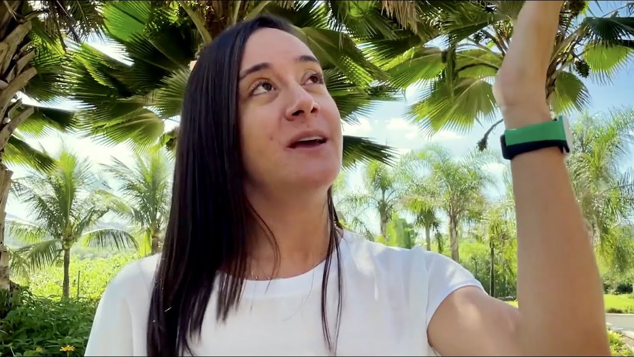 As 3 Dicas De Privacidade No WhatsApp