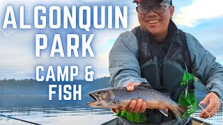 Fishing in Algonquin Park: A nature lover's dream