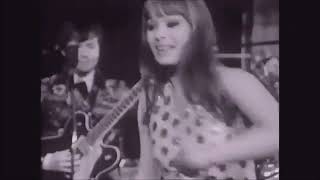 Human Beinz - Nobody But Me - 1968