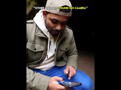 Other animals found on camera vs this guy ☠️ #trollface #trollfaceedit #meme #trending