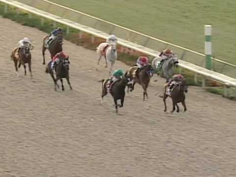 Zenyatta Montage - Her First 14 Wins!