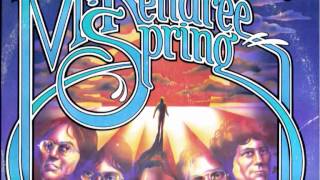 mckendree spring - too young to feel this old
