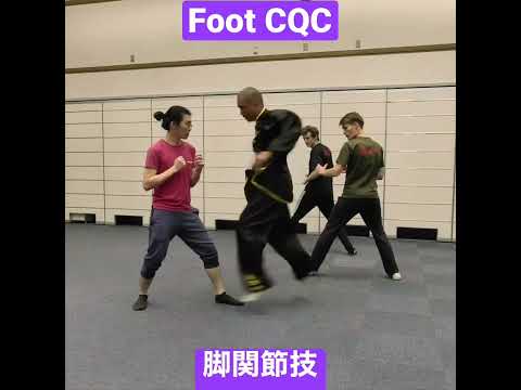 #カンフー #奈良 #足関節技 #接近戦 #生駒 #奈良先端 #英語 #自然門  #kungfu #nara #cqc #ikoma  #kick  #naist #メタルギア  #metalgear