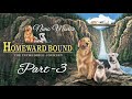 Homeward Bound Part 3 Hollywood Movies Comedy Movies Dog S Cat Fun Filled Movies