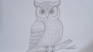 How to draw a owl easy step by step.🦉🦉🦉