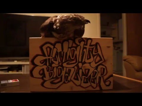 Linkan - MFD (Official Video)