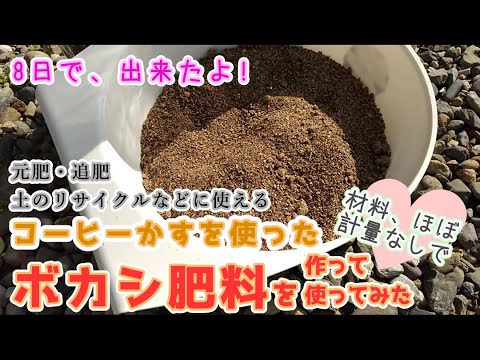 庭のコーヒーかすを使用する 7 つの方法: ヒントとコツ!  庭園