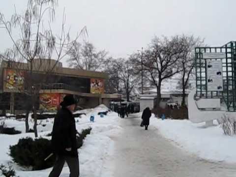 Maestrul MIHAI VOLONTIR, pe linga SECERA SI CIOCANUL