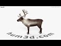 Reindeer 3D Model By 3DModels Org