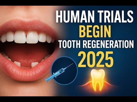Grow New Teeth? 2025 Human Trials Are Here (Ep. 2)