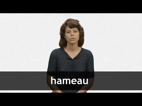 How to pronounce HAMEAU  in French