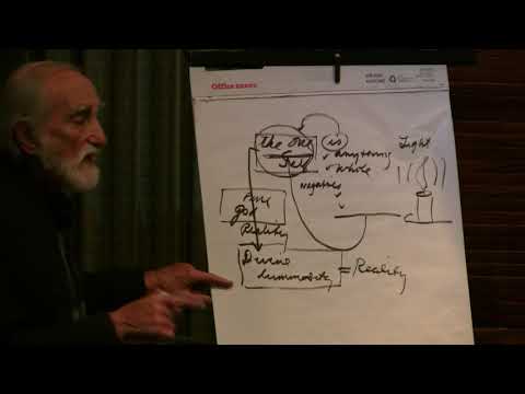 2017-01-26 NSBSNT - Introduction to the Self