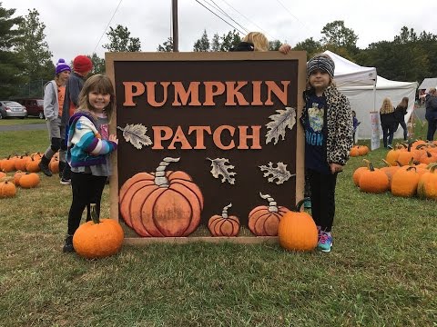 Pumpkin Patch 2016
