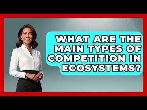 What Are The Main Types Of Competition In Ecosystems? - Explaining Ecology
