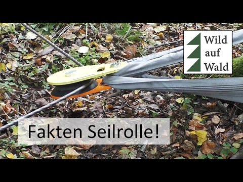 🌲Winch pulley: If you ignore this... #wildaboutforest