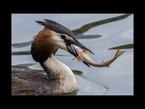 Natures' magic moments