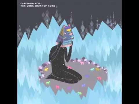 Catching Flies - Grey Skies