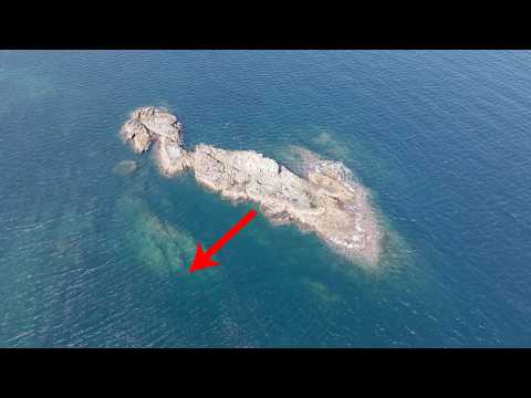 youtube-旅・海外記事2026/01/29 22:24:47