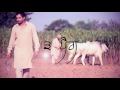 "3 Peg Sharry Mann" (Full Audio) | Mista Baaz | Parmish Verma | Latest Punjabi Songs 2016 "3 Peg Sharry Mann" (Full Audio) | Mista Baaz | Parmish Verma | Latest Punjabi Songs 2016