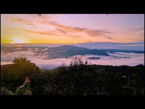 Jayson in town - GUGMA ( 2025 Newsong)