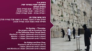 מנחה ערב פסח בשידור חי