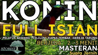 Download lagu MASTERAN MURAI BATU || KONIN FULL ISIAN ( Pelatuk Bawang, Cililin, Kapas Tembak, Gereja) mp3