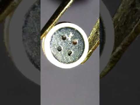 Inside Microphone #shorts