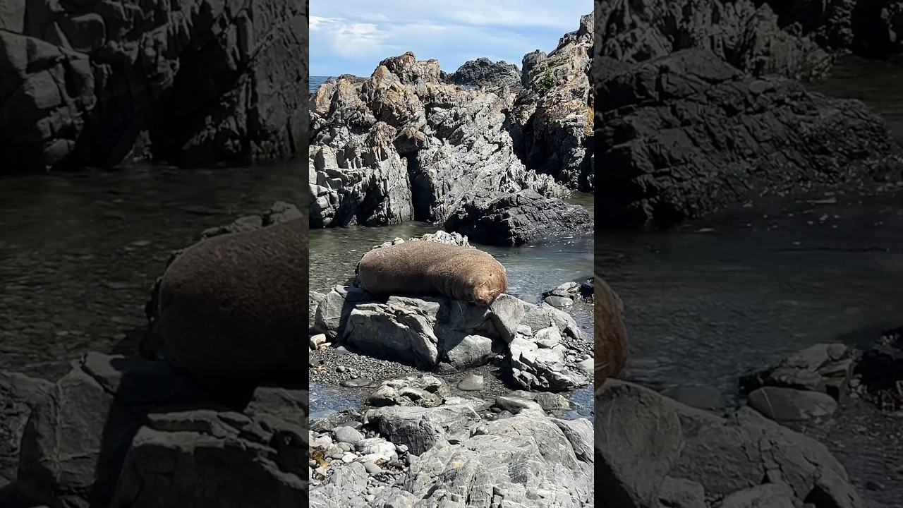 YouTube Short thumbnail