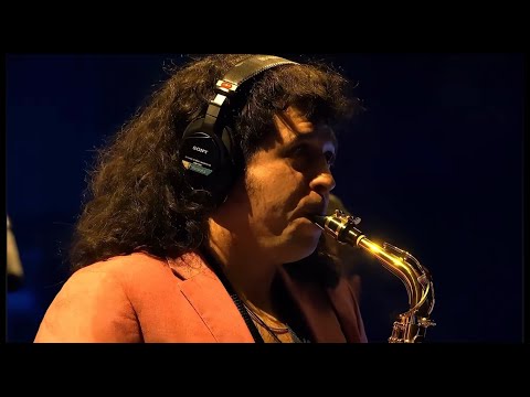 Flamingosis live band at Red Rocks (2024)