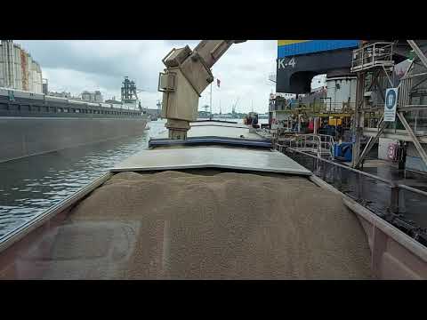 (Time lapse) Loading Sunflower pellets (Fodder) Port of Amsterdam