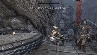 Skyrim_20221125112322