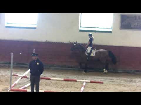 Lamaze TN pod sedlem