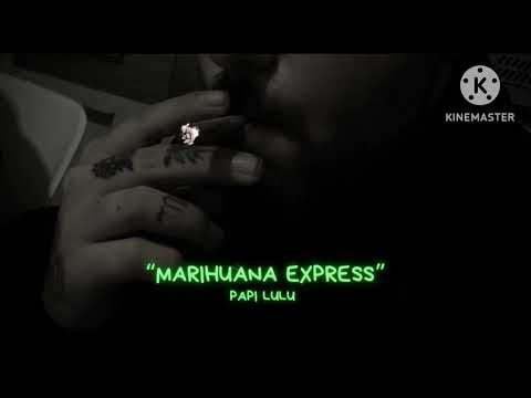 Papi Lulu- Marihuana express    (vol 9)