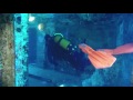 Diving Gozo June 2016 (GoPro Hero 4 BE), Extra Divers Gozo, Malta, Gozo